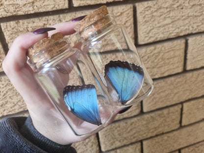 Morpho Wing Jars