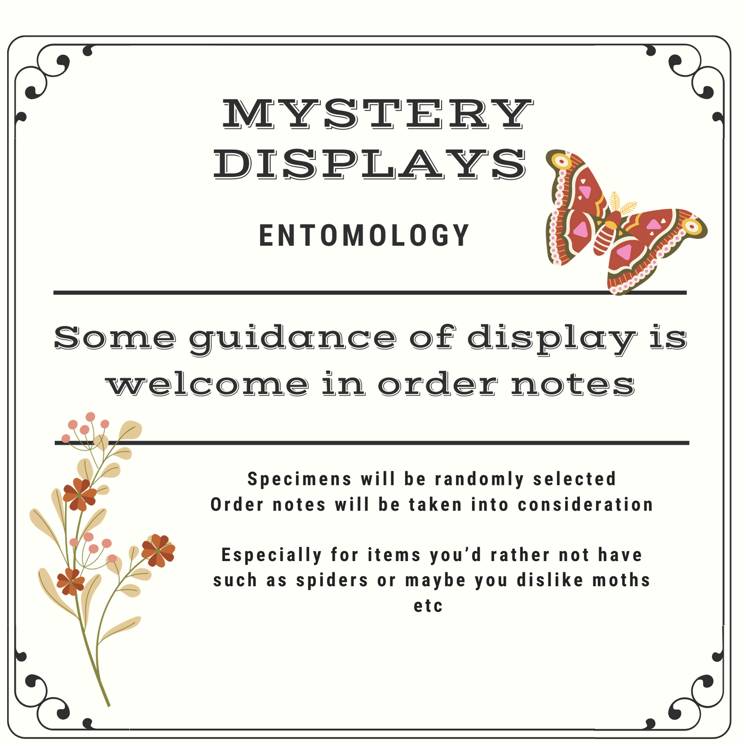 Mystery Displays/Box | Made to Order | Frame | Dome