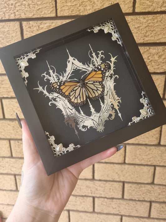 monarch butterfly | Frame