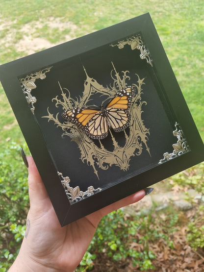 monarch butterfly | Frame